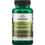 Swanson Boswellia Double Strenght 800 mg 60 kapslí – Hledejceny.cz