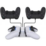 Raptor Gaming CS200 USB Dual Charging Station PS5 – Zboží Živě