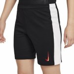 Nike LFC Y NK DF SHORT STAD 3R 2024/25 – Zboží Mobilmania