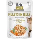 Brit Care Cat Fillets in Jelly Fine Trout & Cod 85 g – Sleviste.cz