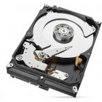 Seagate IronWolf 4TB, ST4000VN006 – Zboží Živě