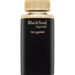 Ted Lapidus Black Soul Imperial toaletní voda pánská 100 ml – Hledejceny.cz