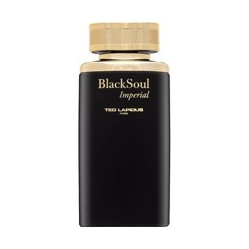 Ted Lapidus Black Soul Imperial toaletní voda pánská 100 ml