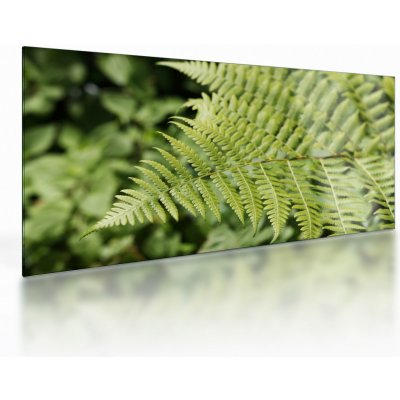 Skleněný obraz - Kapradinový list, jednodílný 100x50 cm na skle – Hledejceny.cz
