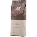 Garibaldi Gusto Oro zrnková 1 kg – Hledejceny.cz