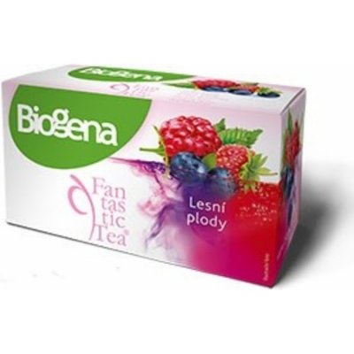 Biogena Fantastic Tea Lesní plody 20 sáčků – Zbozi.Blesk.cz