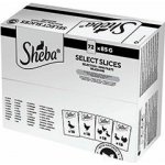 Sheba krmivo mokré mix chutí 6 kg – Zboží Dáma