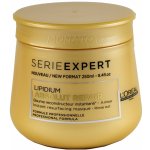 L'Oréal Expert Absolut Repair Lipidium Mask 250 ml