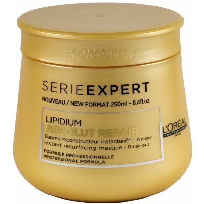 L'Oréal Expert Absolut Repair Lipidium Mask 250 ml – Zboží Mobilmania