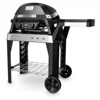 Weber Pulse 2000