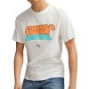 Pánské sportovní tričko Puma Graffiti Tee 622513 02 tričko