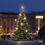 DECOLED LED světelná sada na vánoční stromy vysoké 9-11 m teplá bílá s Flash dekory EFD08W – Hledejceny.cz