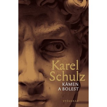 Kámen a bolest - Karel Schulz