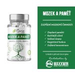 Maxxwin Mozek natural 500 g 90 kapslí – Hledejceny.cz