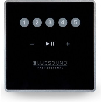 Dálkový ovladač Bluesound Professional CP100