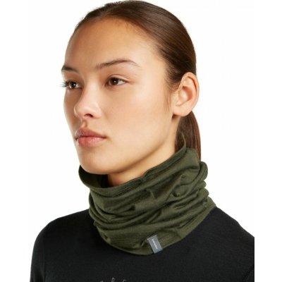 Icebreaker 200 Oasis Flexi Chute Dark Loden – Hledejceny.cz