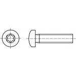 PROFISTYL DIN 7985 šroub s půlkulatou hlavou a drážkou TORX nerez A2 Varianta: DIN 7985 šroub půlkulatá hlava TORX nerez A2 M4x8 – Sleviste.cz