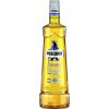 Vodka Puschkin Time Warp 17,7% 0,7 l (holá láhev)