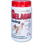 Orling - Gelacan Plus Darling 500 g – Hledejceny.cz