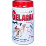 Orling - Gelacan Plus Darling 500 g – Zbozi.Blesk.cz