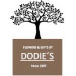 Dodie's Vonný olej Tea tree 10 ml – Hledejceny.cz