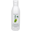 Matrix Biolage ScalpSync Cool Shampoo Mint 250 ml