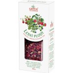 Grešík ovocný čaj Lesní plody 100 g – Hledejceny.cz