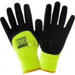 PROCERA X-FROSTER – HobbyKompas.cz