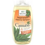 BC Bione Cosmetics Bio Cannabis regenerační výživný šampon 260 ml – Hledejceny.cz