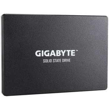 Gigabyte 256GB, SSD, GP-GSTFS31256GTND