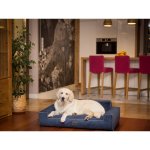 HobbyDog Pelech Glamour Fancy – Zboží Dáma