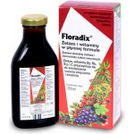 Salus Floradix Železo+ 500 ml – Hledejceny.cz