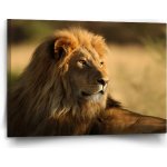 Sablio Obraz Lev 3 - 120x80 cm – Hledejceny.cz