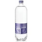 Dolomia Perlivá voda pet 0,5 l – Zboží Dáma