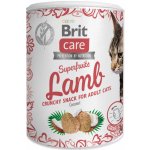 Brit Care Cat Snack Superfruits Lamb 100 g – Hledejceny.cz