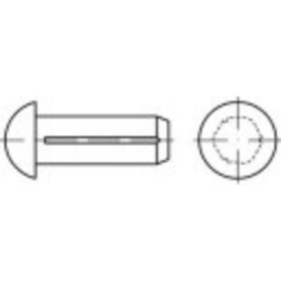 TOOLCRAFT 136550 půlkulatý rýhovaný hřeb (Ø x d) 6 mm x 8 mm ocel 250 ks – Hledejceny.cz