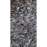 Fauna Hradil Slunečnice velká žíhaná MAX 5 kg – Zboží Dáma