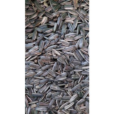 Fauna Hradil Slunečnice velká žíhaná MAX 5 kg – Zboží Dáma