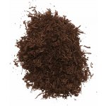 PlantBee Vlákna Tree Fern 3 l – Hledejceny.cz