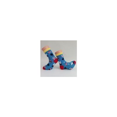 Dětské ponožky CIRKUS Modrá – Zboží Mobilmania