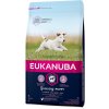 Granule pro psy Eukanuba Puppy Small 6 kg