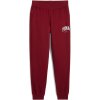 Pánské tepláky Puma SQUAD SWEATPANTS FL CL 68180013 Bordó