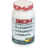 Giom Chondro L-karnitin 200 g – Hledejceny.cz