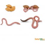 Safari Životní cyklus Žížala – Zbozi.Blesk.cz