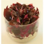 Alternanthera rosaefolia - Plevuňka růžolistá – Zboží Dáma Alternanthera rosaefolia - Plevuňka růžolistá – Zboží Dáma