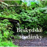 Beskydské studánky - Jaromír Šlosar – Hledejceny.cz