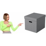 Esselte Krabice úložná - kostka / šedá / 365 x 320 x 315 mm / s otvory / 3 ks – Sleviste.cz