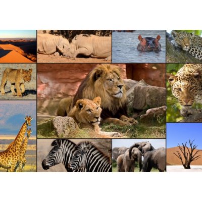 Grafika Koláž divoká zvířata 1500 dílků