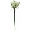 Květina Jiřinka - Dahlia krémová V71 cm
