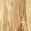 Maxwhite Oakwood Almond 600 x 1200 x 9 mm hnědá 1,44m²